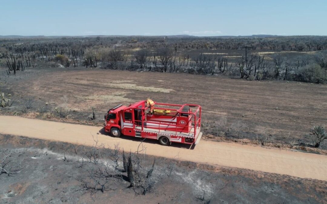 Incendios en Córdoba: investigadores y ambientalistas replican un informe de entidades agropecuarias