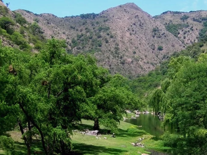 Reserva Natural de la Defensa La Calera en serio peligro