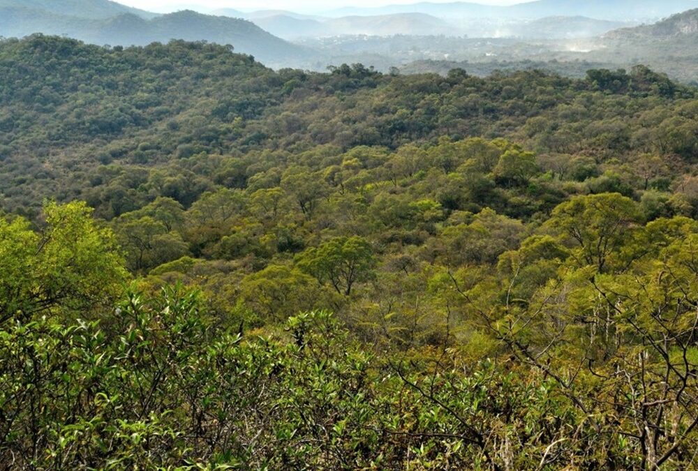 El Foro pide información al gobernador por la Reserva de la Defensa La Calera