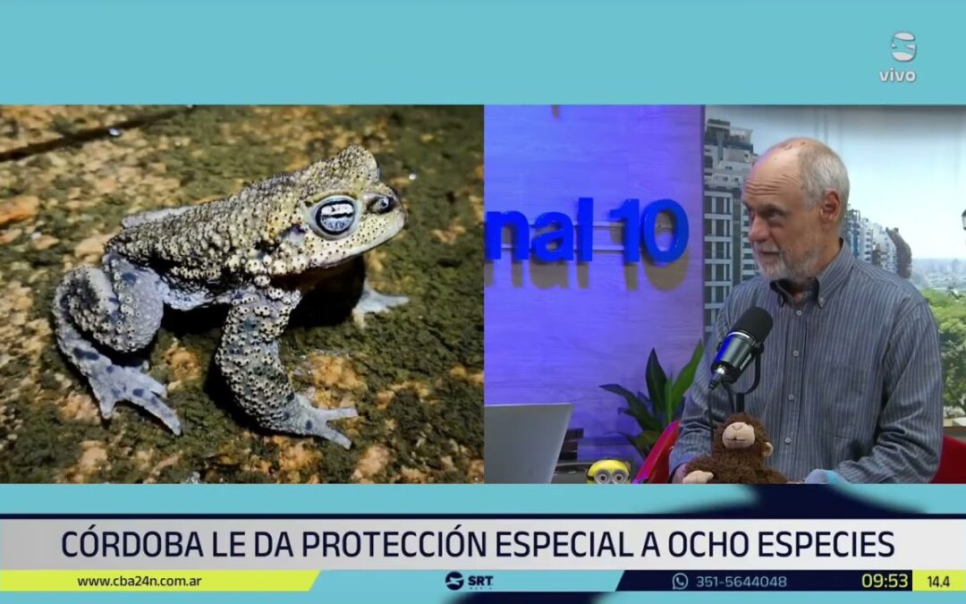 Córdoba declara a 8 especies como monumentos naturales